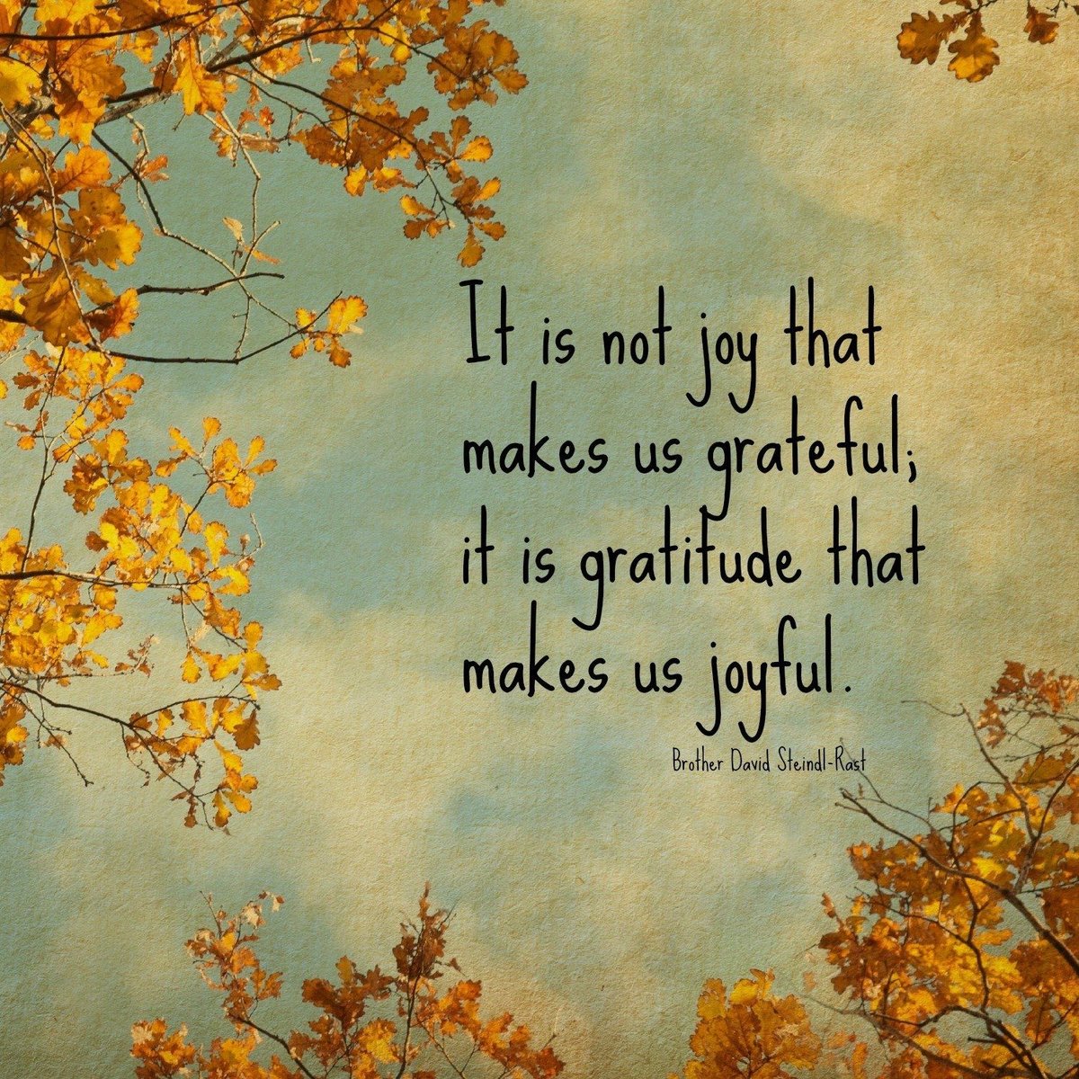 Gratitude Images and Quotes To Inspire Thankfulness Today